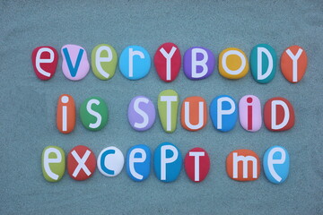Everybody is stupid except me, self satisfaction quote composed with multi colored stone letters...