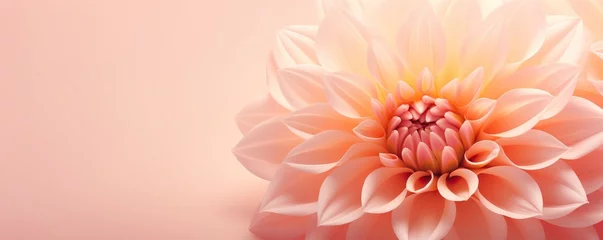 Fotobehang Pantone 2024 Peach Fuzz Dahlia flower on light orange background. Backdrop for greeting card, banner, poster, wallpaper, print. Valentine, Mother's and Women's day concept. Peach fuzz - color of 2024 year