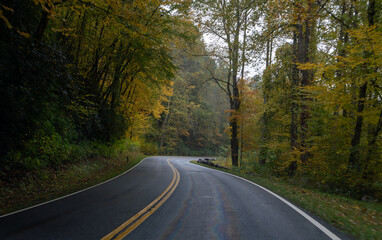 A Stunning view to the road of autumn