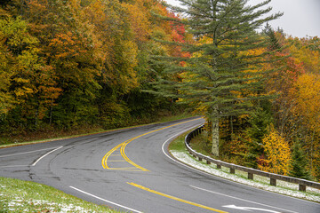A Stunning view to the road of autumn