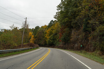 Fototapeta premium road in autumn forest