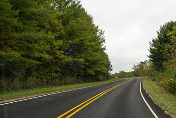 Fototapeta premium A Stunning view to the road of autumn