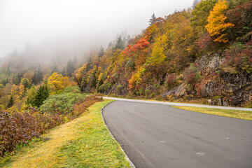 Road in the fog of Autumn
