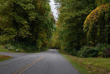 A Stunning view to the road of autumn