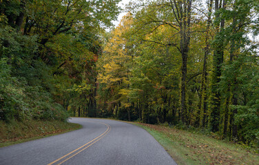 A Stunning view to the road of autumn