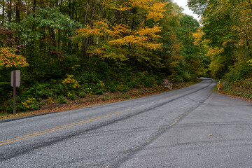 A Stunning view to the road of autumn