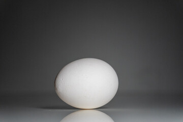 White easter egg minimalist