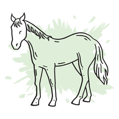 Horse hand drawing illustration vector