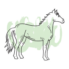 Horse hand drawing illustration vector