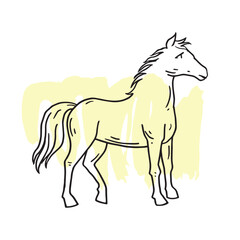 Horse hand drawing illustration vector