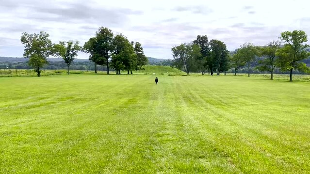A young man walks toward the Native American Hopewell Culture prehistoric Seip Earthworks burial mound in Ohio.