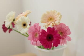 Vase with beautiful gerbera flowers on blurred background, closeup