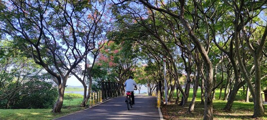 Beautiful scenery on the bicycle path in Bali District, Tamsui City, New Taipei City, Taiwan - 708798287