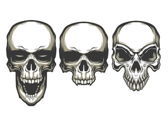Set of skull head illustration