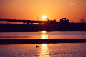 都市の夜明け。橋の上から太陽の日が登る。兵庫県西宮市の香櫨園浜で撮影