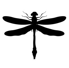 dragonfly silhouette vector illustation 