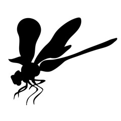 dragonfly silhouette vector illustation 