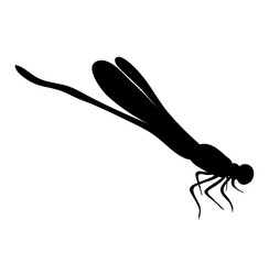 dragonfly silhouette vector illustation 