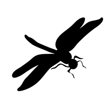 dragonfly silhouette vector illustation 