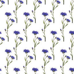 Seamless pattern with floral background.
