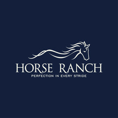 Horse Logo Design Inspiration Vector
