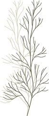 Branches illustration on transparent background.
