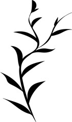 Hand drawn leaves illustration, Transparent background	