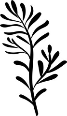 Hand drawn leaves illustration, Transparent background	