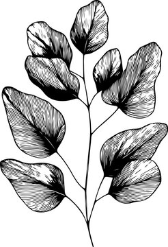 black and white Leaf Stem