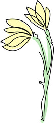One line drawing floral illustration on transparent background.
