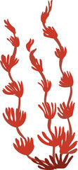 Fototapeta premium Hand drawn coral illustration on transparent background. 