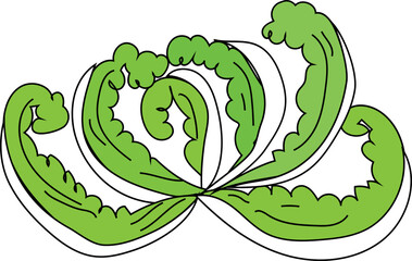 Hand drawn coral illustration on transparent background.
