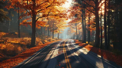 Tuinposter Asphalt road in enchanting autumn forest. © ikkilostd