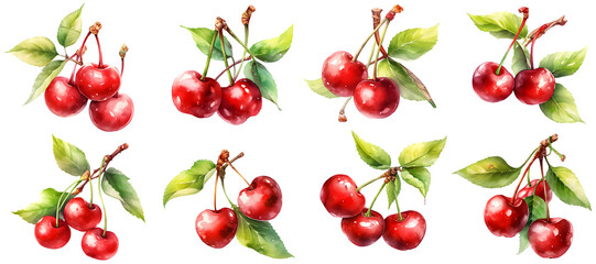 Watercolor cherry clipart for graphic resources 