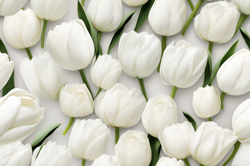 white tulips background wall texture pattern seamless wallpaper