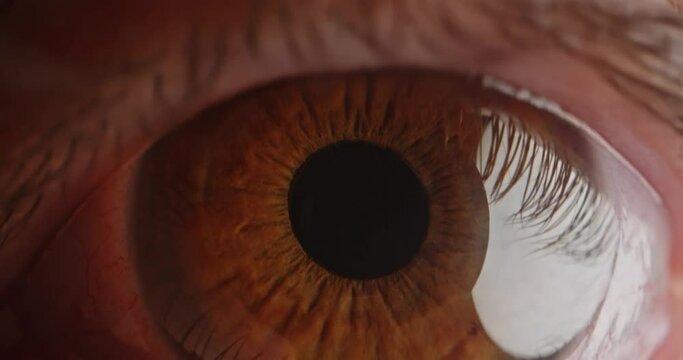 Human eye iris opening pupil extreme close up. Retina