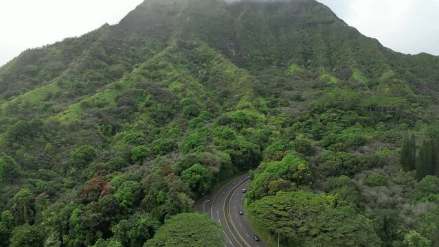 Majestic Green Slopes: Oahu's H-3 Highway