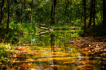 Downstream