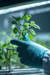 Biotechnological research of plants for agriculture laboratory
