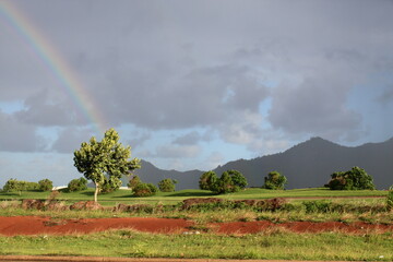 rainbow over the countryside