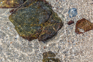 looking down view of stone on the beach with water waves slow drifting wallpaper background