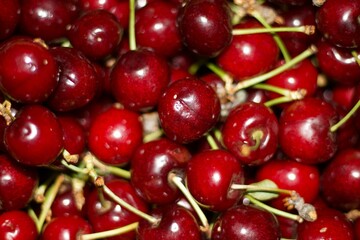 ripe cherries inside a cardboard box, seasonal fruits