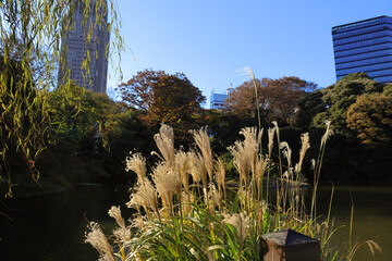 Autumn Cityscape with Reflections in the Water Nov 28 2023
