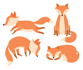 Cute fox cartoon character flat vector illustrations set.