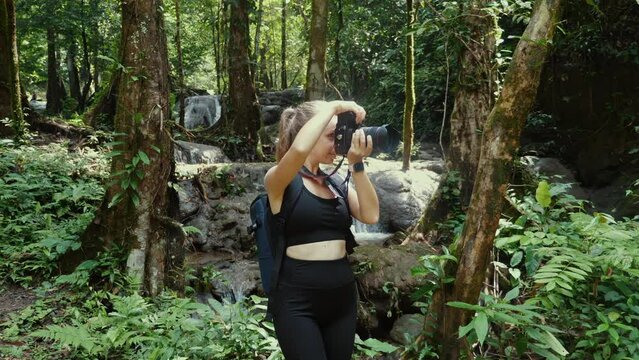 Woman photographer taking pictures in tropical forest. Nature and Adventure.