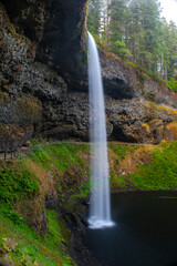 Fototapeta na wymiar Silver Falls State Park in Oregon