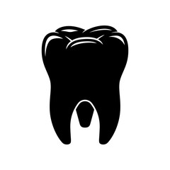 Molar teeth vector isolated white background.