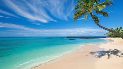Deserted tropical beach with crystal-clear turquoise waters and a single palm tree on a bright, sunny day.