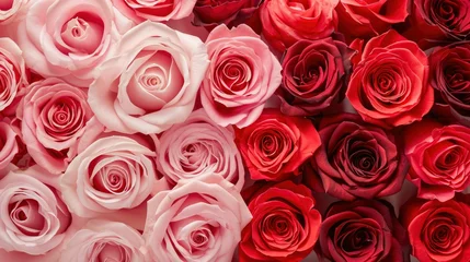 Foto op Aluminium red and pink roses background banner for Valentine's Day © People