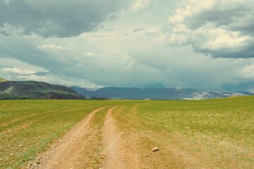 Fototapeta premium landscape with a road